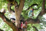 Delphine Coutant : sur mon arbre perchée
