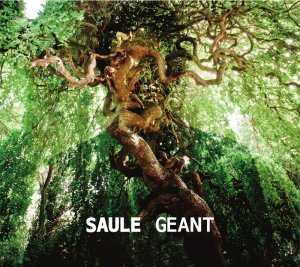 pochette-saule-geant-417bb