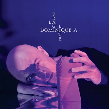 dominiquea-lafragilite