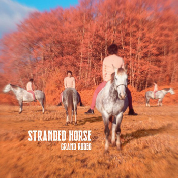 Stranded horse 2021 Grand Rodéo