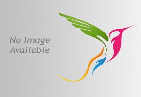 Paco Ibanez chante Brassens