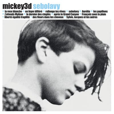 Mickey3D-Sebolavy