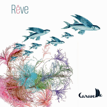 CARAVELLE 2020 Rêve