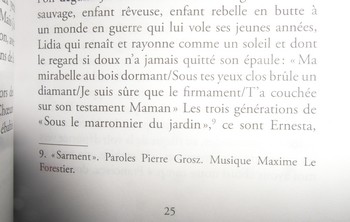 Une des innombrables bourdes et cafouillages de ce bouquin : rappelons utilement qu’on doit la chanson « Sarment » à Allain Leprest pour le texte et à Gérard Pierron pour la musique. Leprest qui est d’ailleurs orthographié « Le Prest » dans la partie discographie de ce bouquin. Heureusement que le ridicule ne tue pas, sinon Piazza et Pointurier seraient morts ! (photo Dominique Teppe Dupelot).