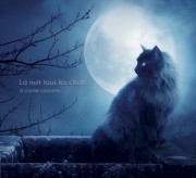 CAMPO Aldo 2023 La nuit tous les chats À contre courants