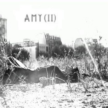 FESSON Sylvain AMY-II-pochette-clip-recadré-520x400