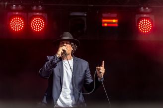 Saule Détail photo©Christophe Dehousse