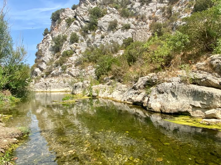 Le Verdouble Photo ©Philippe Emery